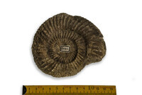 F 02011
<br/>
<br/>
<em></em>